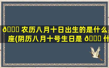 🐈 农历八月十日出生的是什么星座(阴历八月十号生日是 🐕 什么星座)